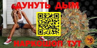 spice Коммунар