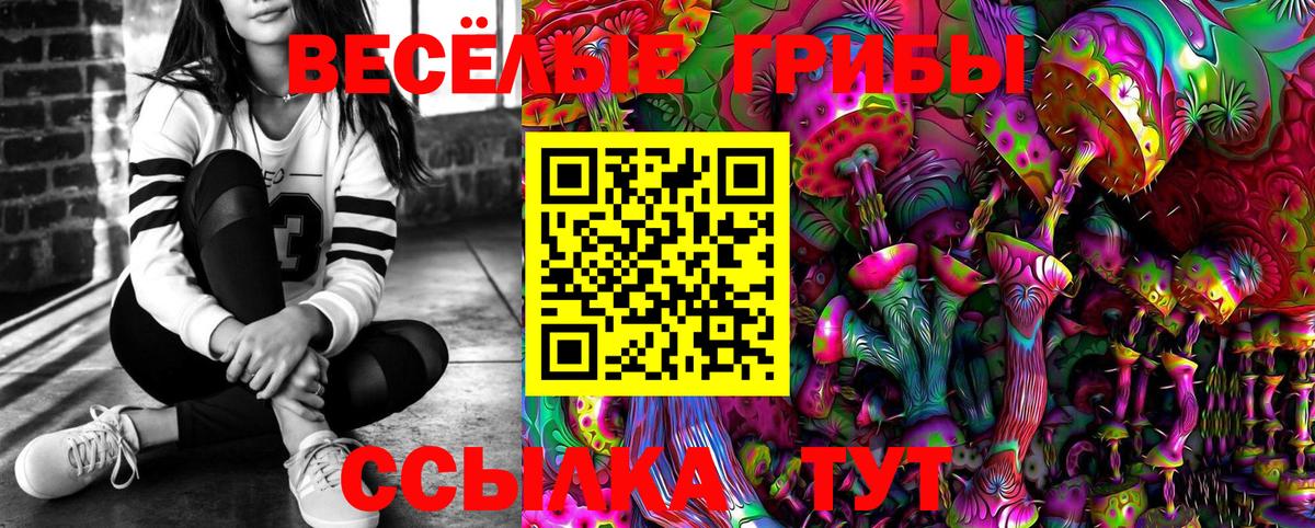 Шадринск  Галлюциногенные грибы Cubensis  Вход с VPN  Галлюциногенные грибы Psilocybe 